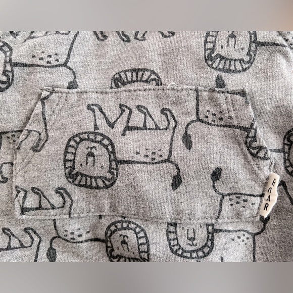 EUC Carter's 2-Piece Lion Print Tee & Overall Set - Gray/Burnt Orange - Newborn - Picture 6 of 16